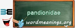 WordMeaning blackboard for pandionidae